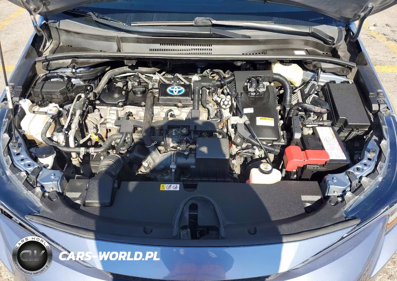 2021 Toyota Corolla Le VIN:JTDEAMDE1MJ029605 - 11