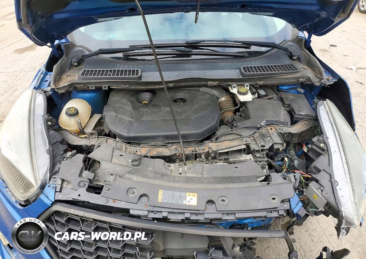 2017 Ford Escape Se VIN:1FMCU9G97HUB02891 - 12