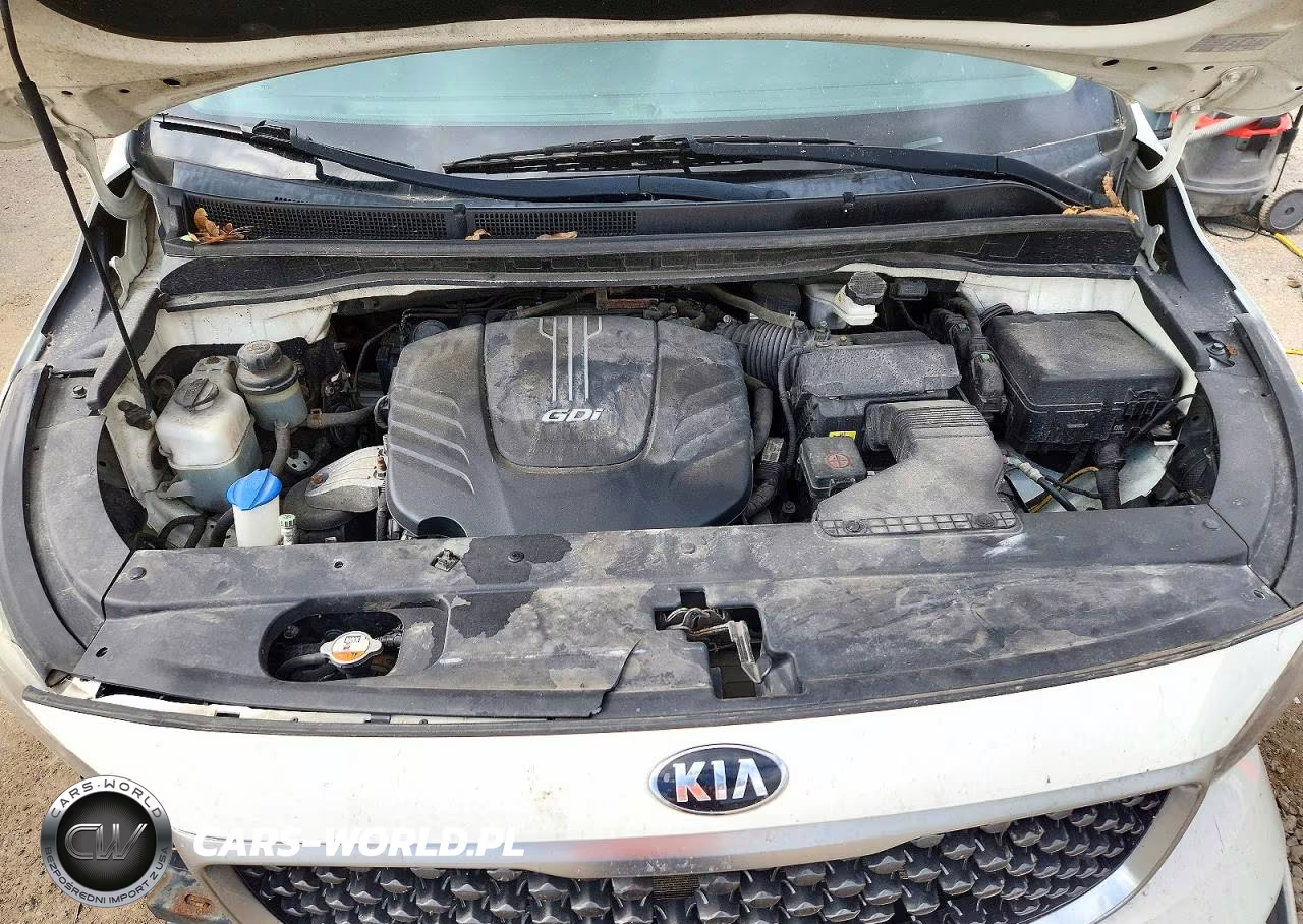 2017 Kia Sedona Lx VIN:KNDMB5C1XH6219375 - 12