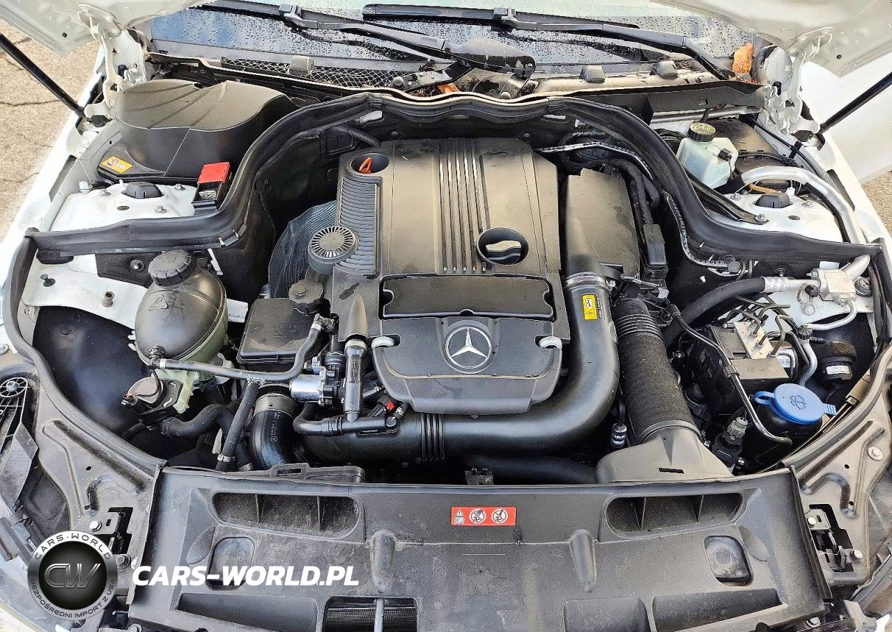 2013 Mercedes-Benz C 250 VIN:WDDGJ4HB0DF955981 - 11