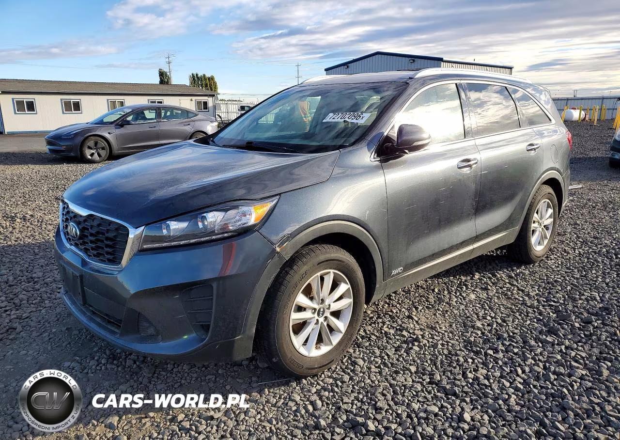 2019 Kia Sorento Lx VIN:5XYPGDA39KG601480 - 1