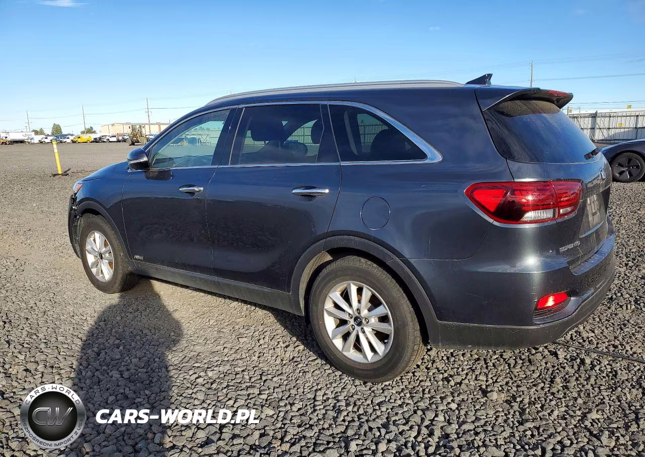 2019 Kia Sorento Lx VIN:5XYPGDA39KG601480 - 2
