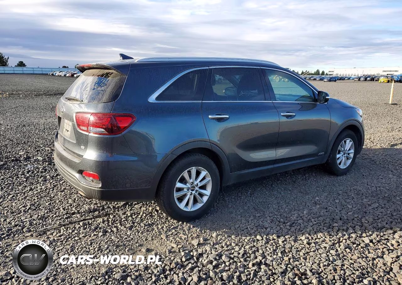 2019 Kia Sorento Lx VIN:5XYPGDA39KG601480 - 3