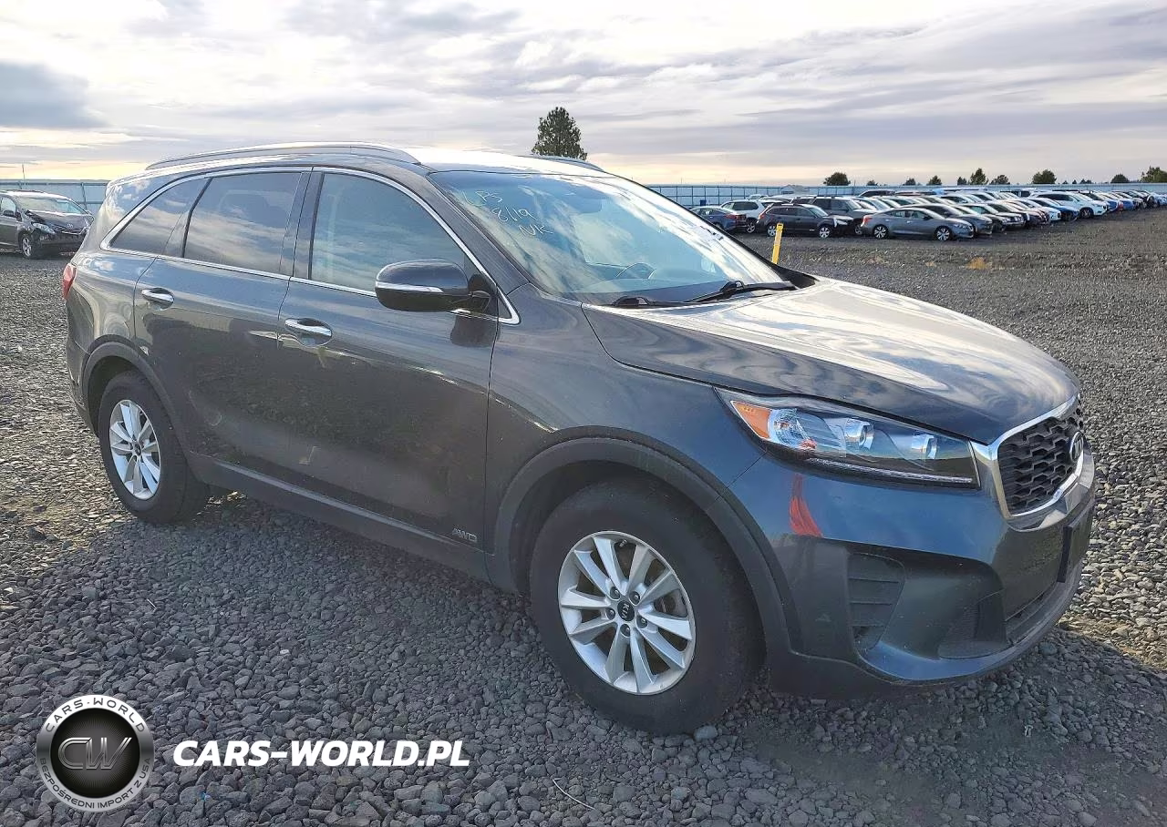 2019 Kia Sorento Lx VIN:5XYPGDA39KG601480 - 4