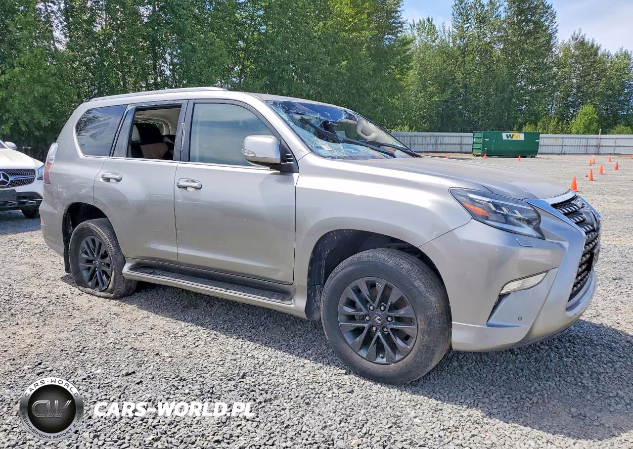 2020 Lexus Gx 460 Premium VIN:JTJAM7BX6L5244493 - 4