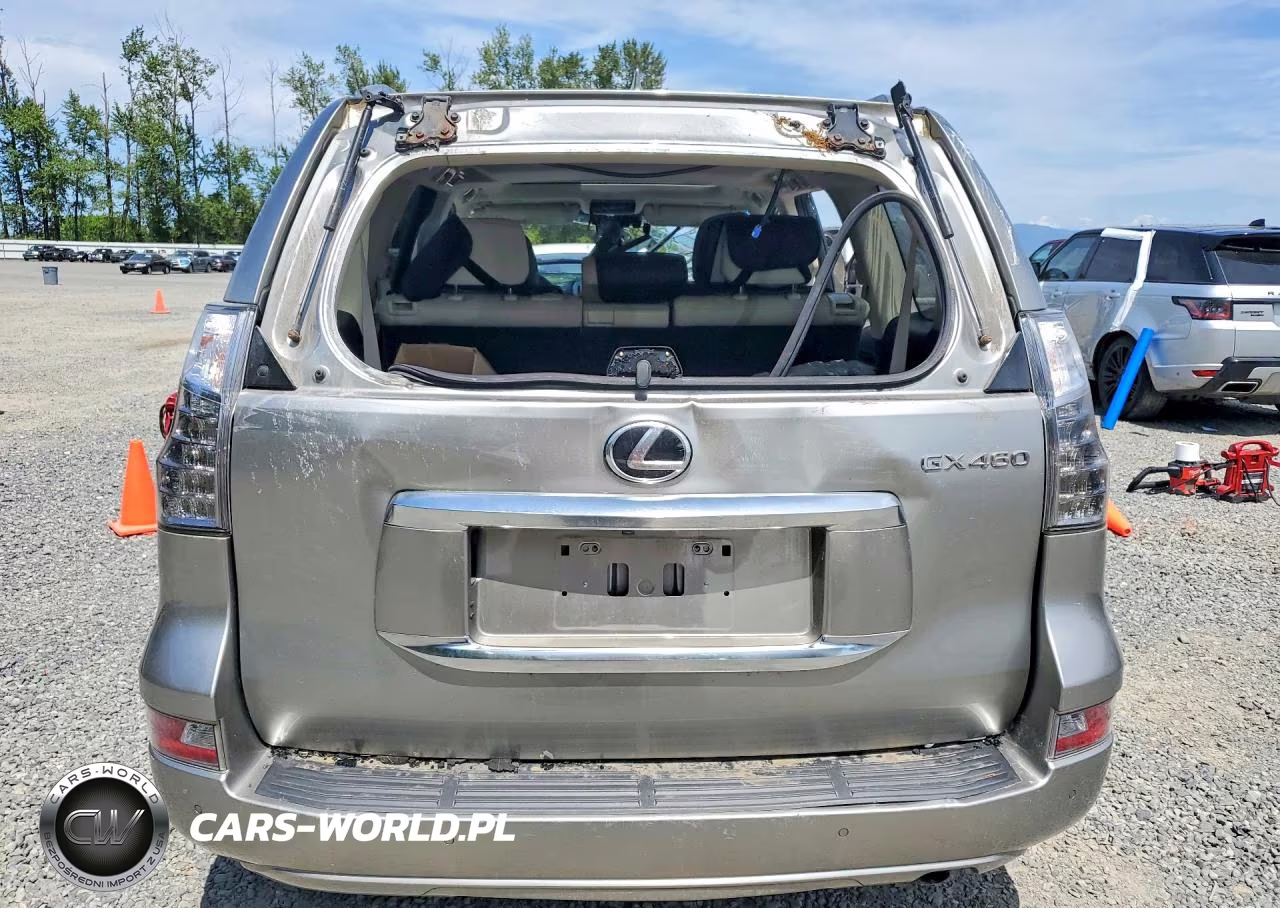 2020 Lexus Gx 460 Premium VIN:JTJAM7BX6L5244493 - 6