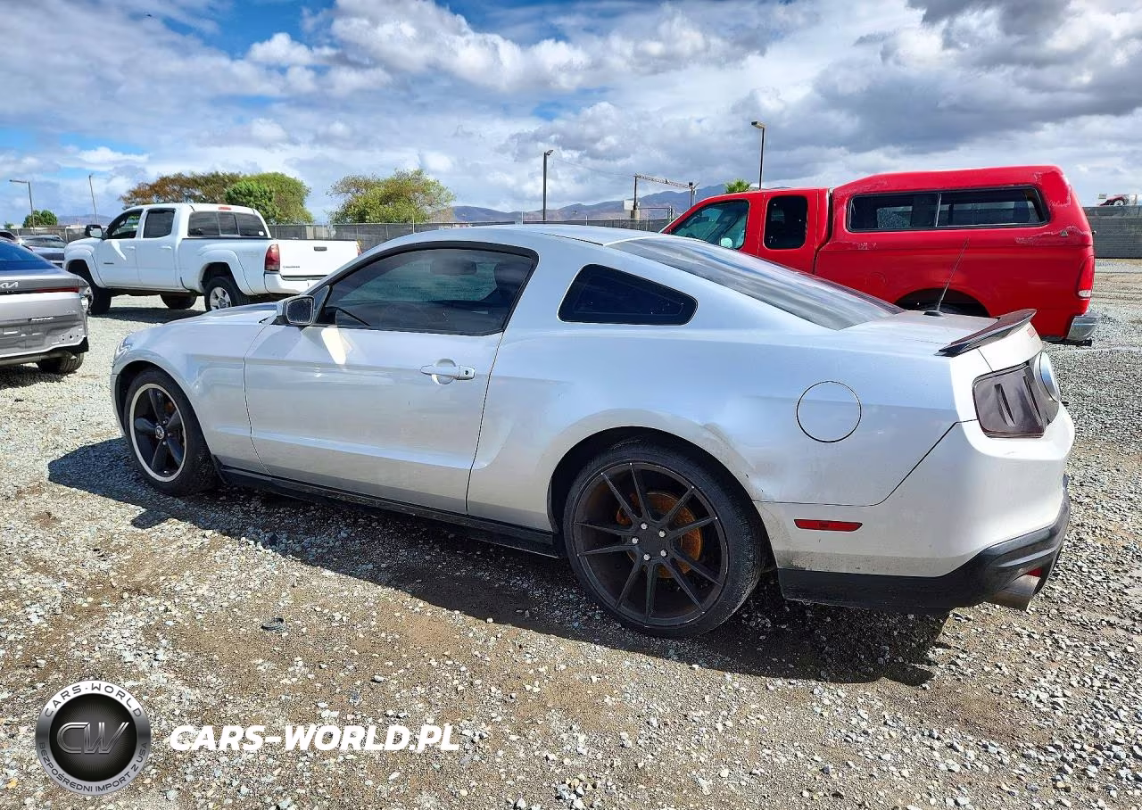 2010 Ford Mustang VIN:1ZVBP8AN3A5114881 - 2
