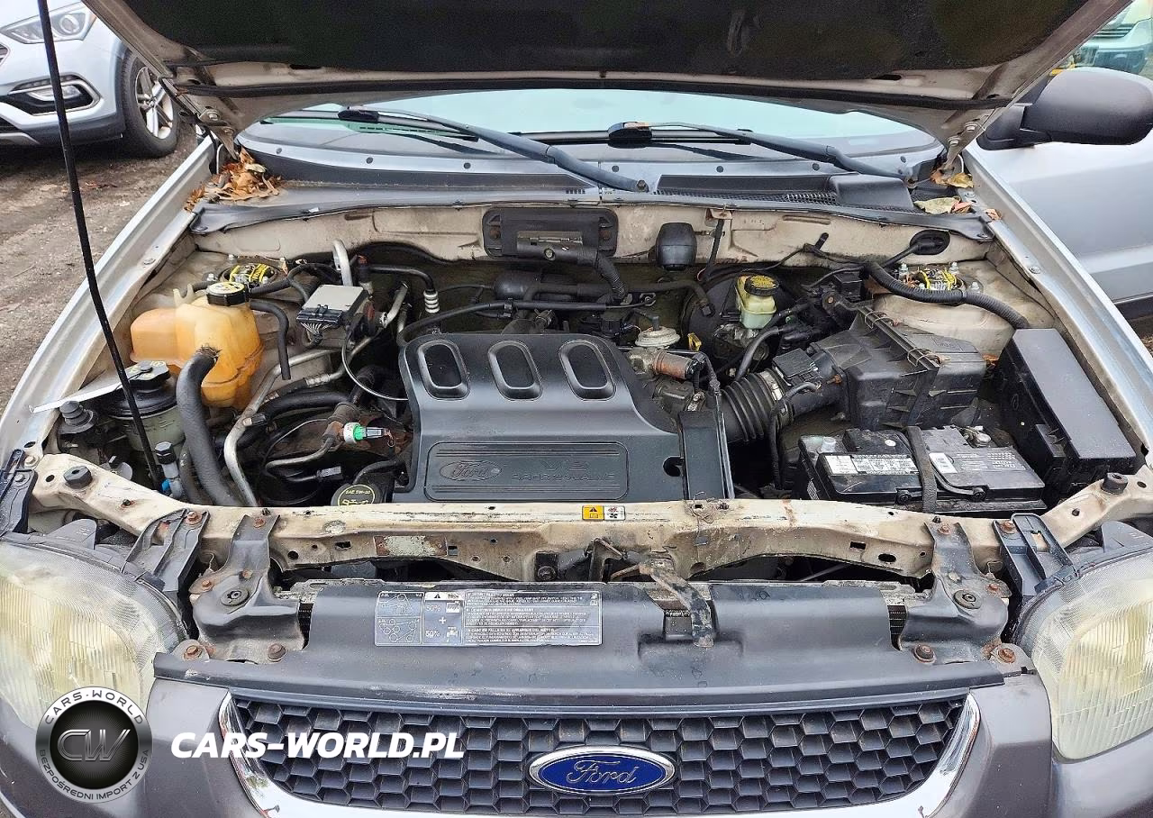 2003 Ford Escape Xlt VIN:1FMYU03193KD19610 - 12