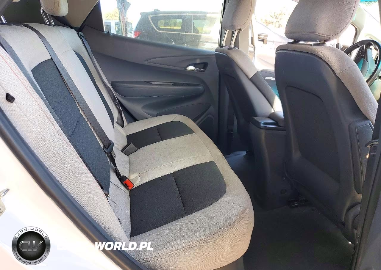 2020 Chevrolet Bolt Ev Lt VIN:1G1FY6S05L4134253 - 10