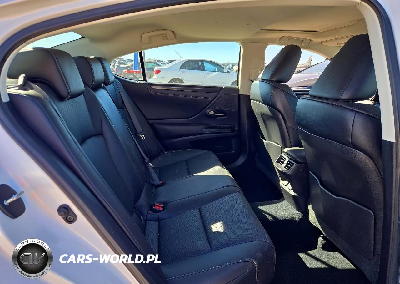 2020 Lexus Es 350 Base VIN:58ACZ1B11LU057856 - 10
