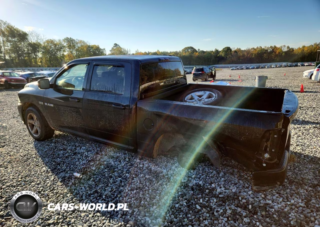 2009 Dodge Ram 1500 VIN:1D3HV13T89J507940 - 2