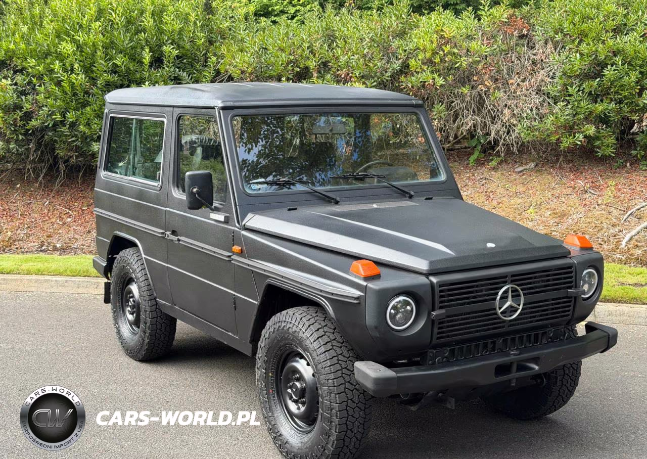 1994 Mercedes-Benz 290 290 Gd Wolf, 5-Speed VIN:WDB46133717097198 - 1