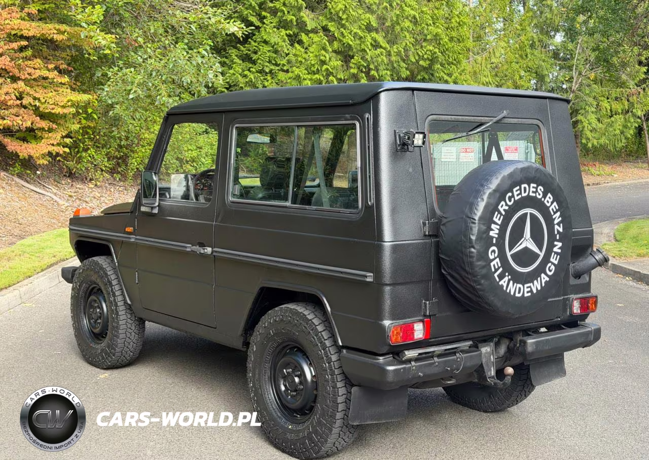 1994 Mercedes-Benz 290 290 Gd Wolf, 5-Speed VIN:WDB46133717097198 - 3