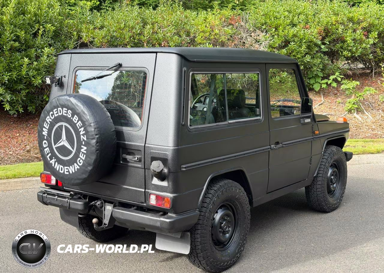 1994 Mercedes-Benz 290 290 Gd Wolf, 5-Speed VIN:WDB46133717097198 - 4