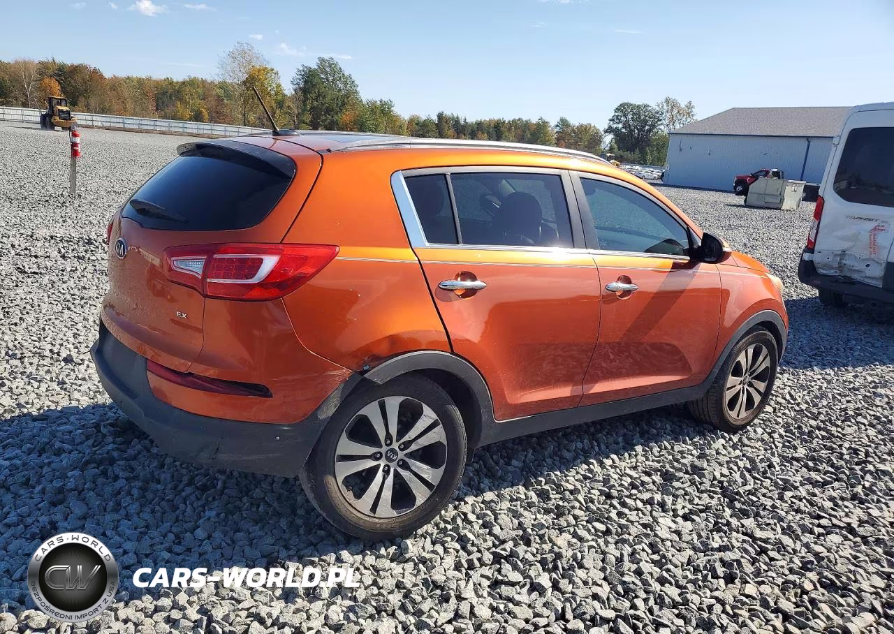 2011 Kia Sportage Ex VIN:KNDPC3A27B7029383 - 3