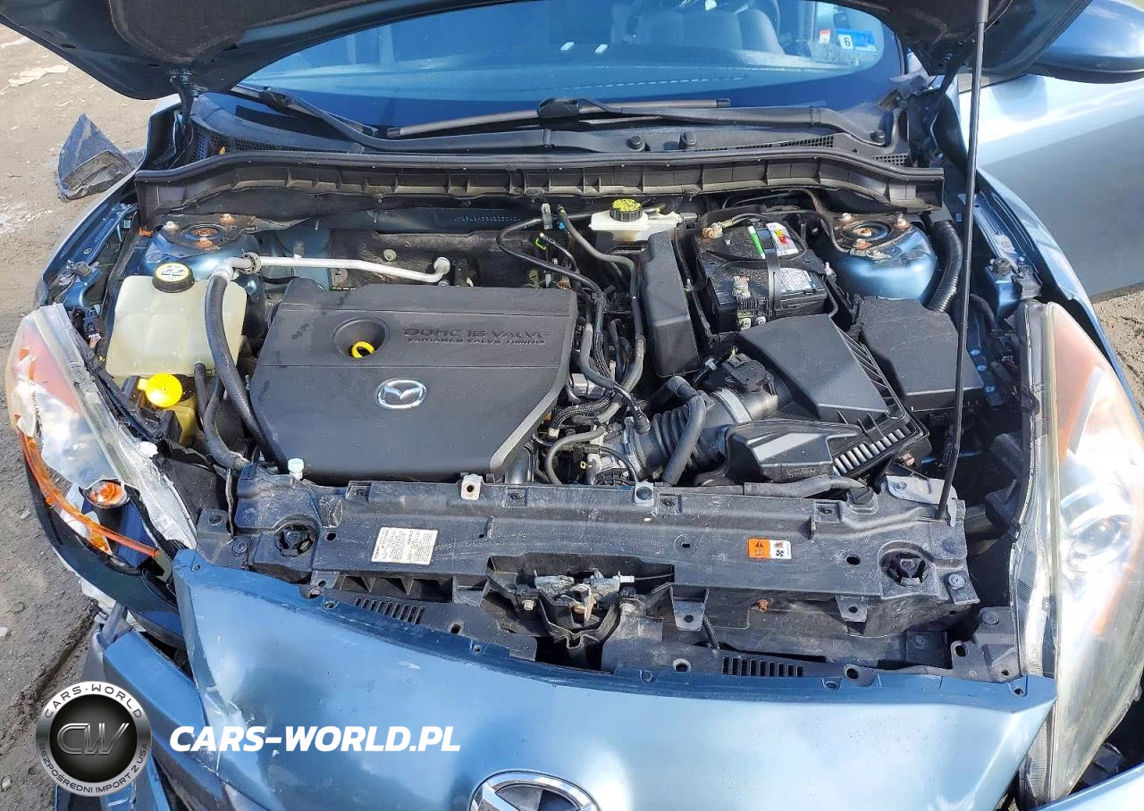 2010 Mazda 3 S VIN:JM1BL1H63A1250424 - 11