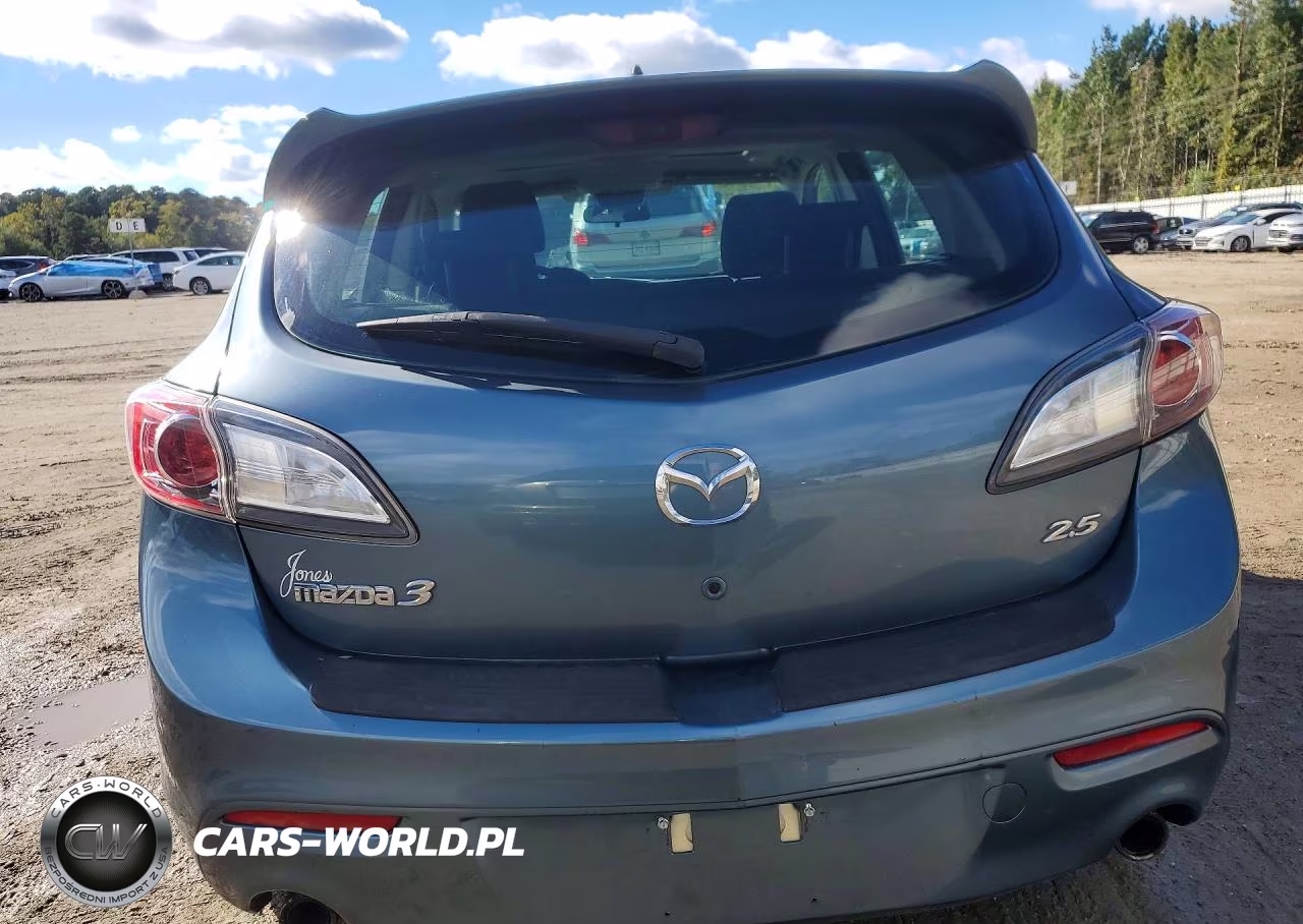 2010 Mazda 3 S VIN:JM1BL1H63A1250424 - 6