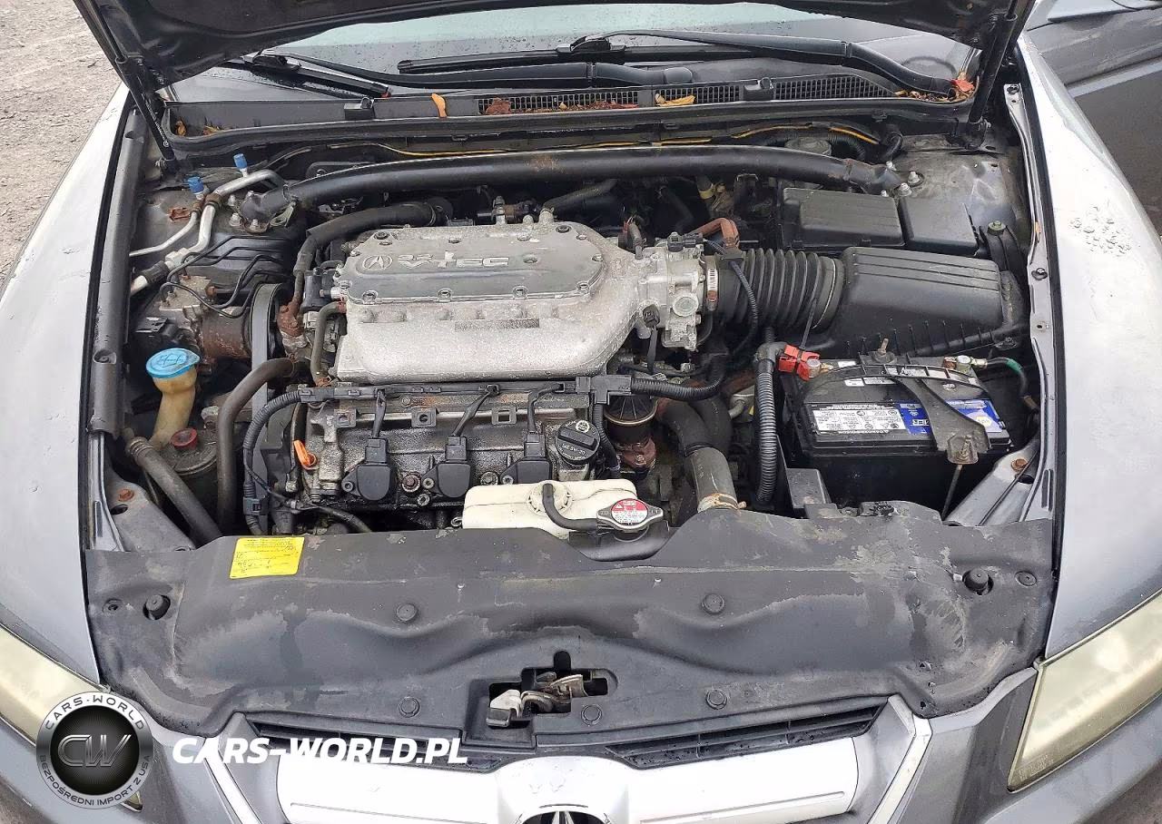 2006 Acura 3.2Tl VIN:19UUA66206A074145 - 11