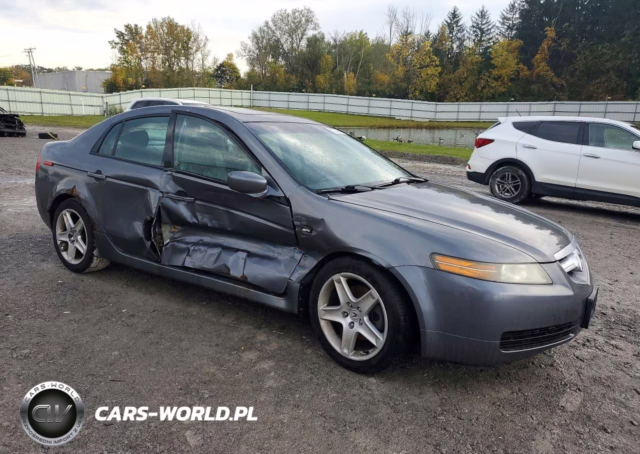 2006 Acura 3.2Tl VIN:19UUA66206A074145 - 4