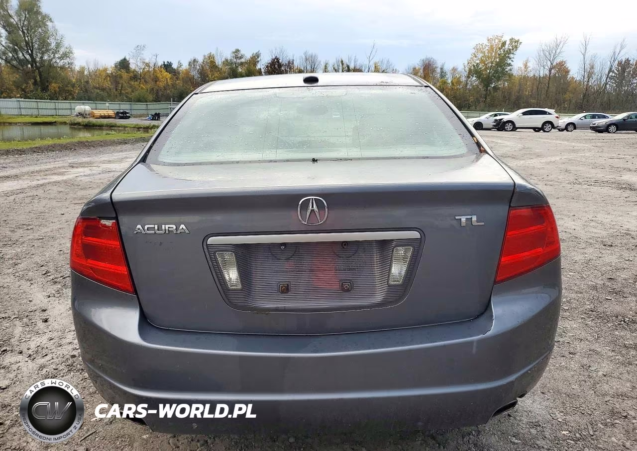 2006 Acura 3.2Tl VIN:19UUA66206A074145 - 6