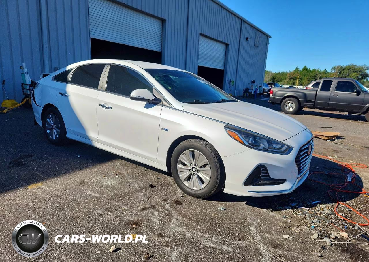 2019 Hyundai Sonata Hybrid Se VIN:KMHE24L34KA091683 - 4