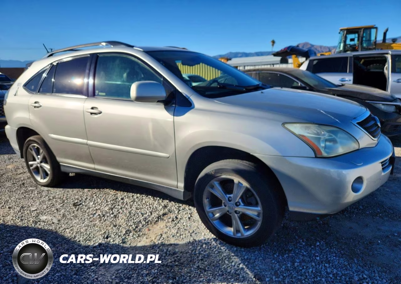 2006 Lexus Rx 400 VIN:JTJGW31U862000418 - 4