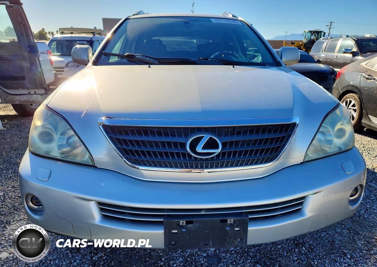 2006 Lexus Rx 400 VIN:JTJGW31U862000418 - 5