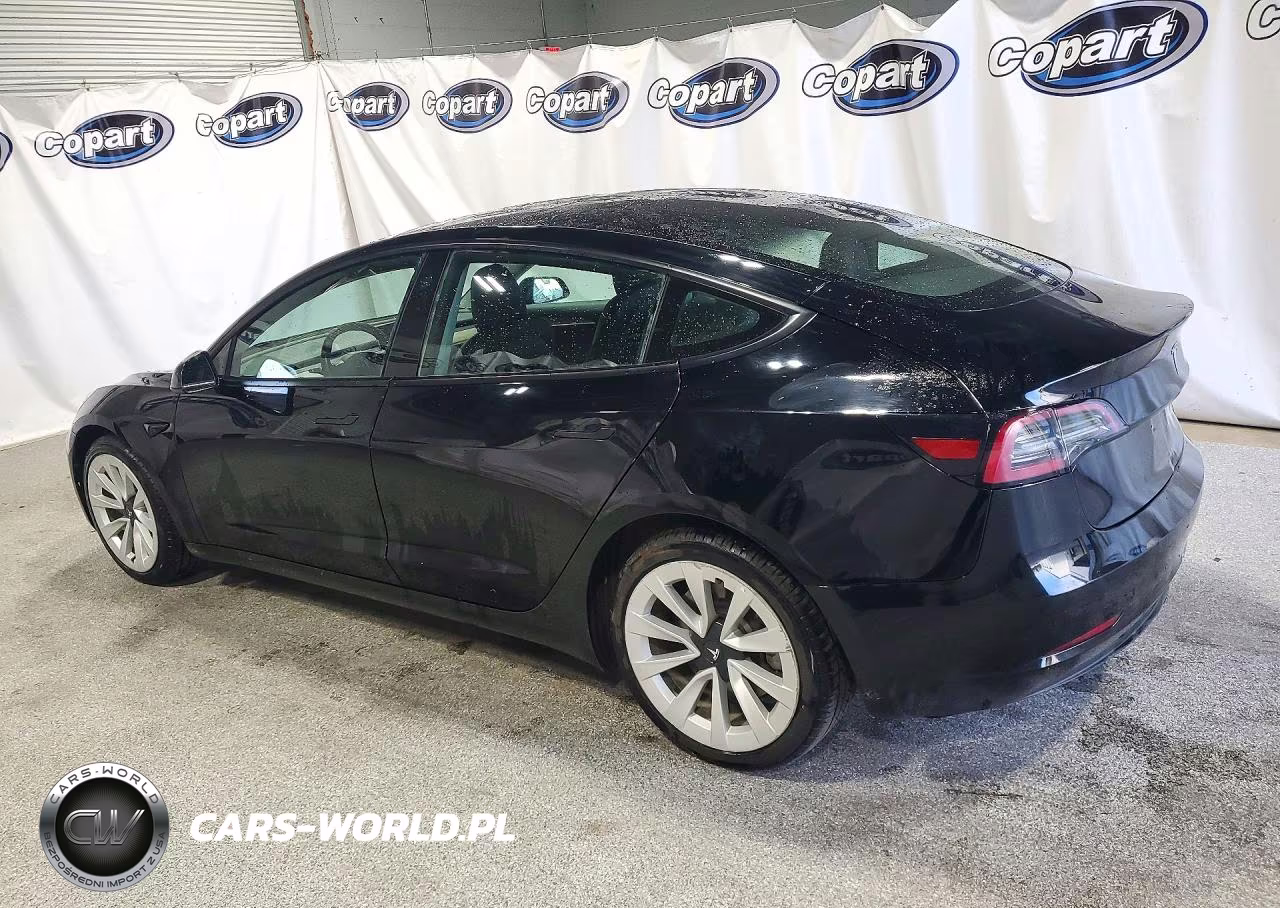 2023 Tesla Model 3 VIN:5YJ3E1EA5PF430351 - 2