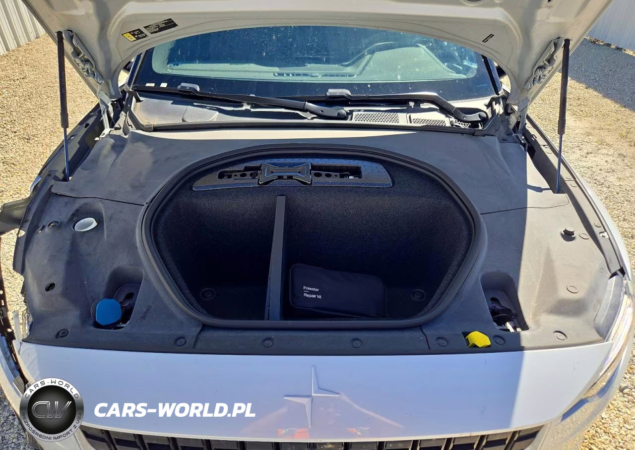 2023 Polestar 2 VIN:YSMEG3KA9PL125956 - 11