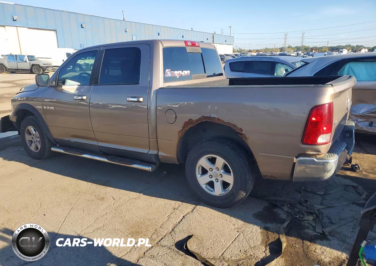 2009 Dodge Ram 1500 VIN:1D3HV13T19S806681 - 2