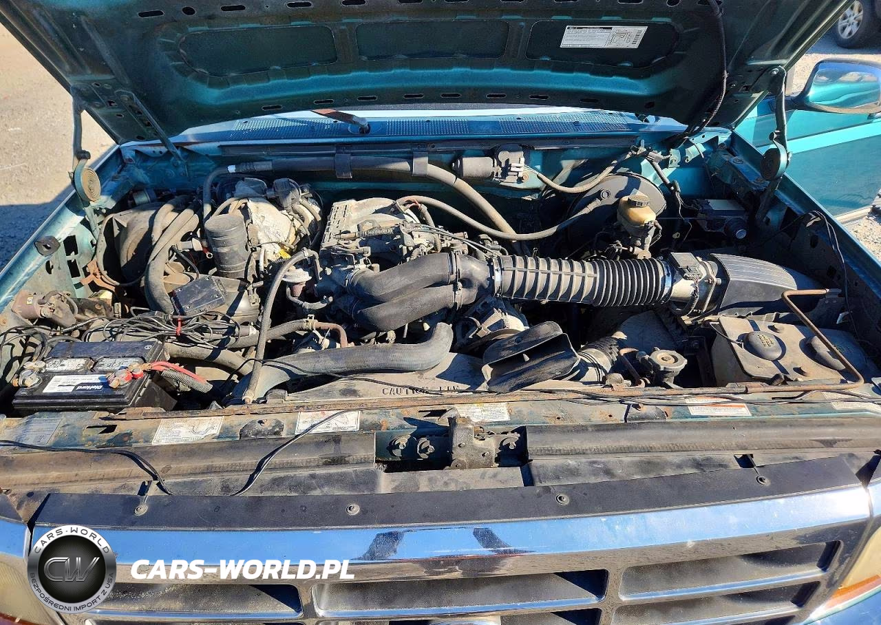 1996 Ford F150 VIN:1FTEF15N5TLB25030 - 11