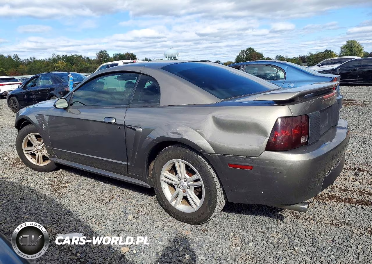 2002 Ford Mustang VIN:1FAFP40402F125697 - 2