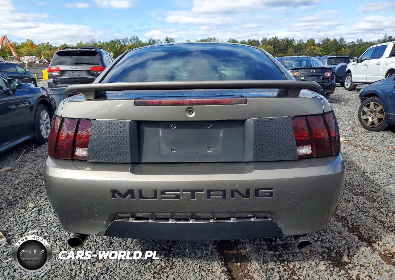2002 Ford Mustang VIN:1FAFP40402F125697 - 6