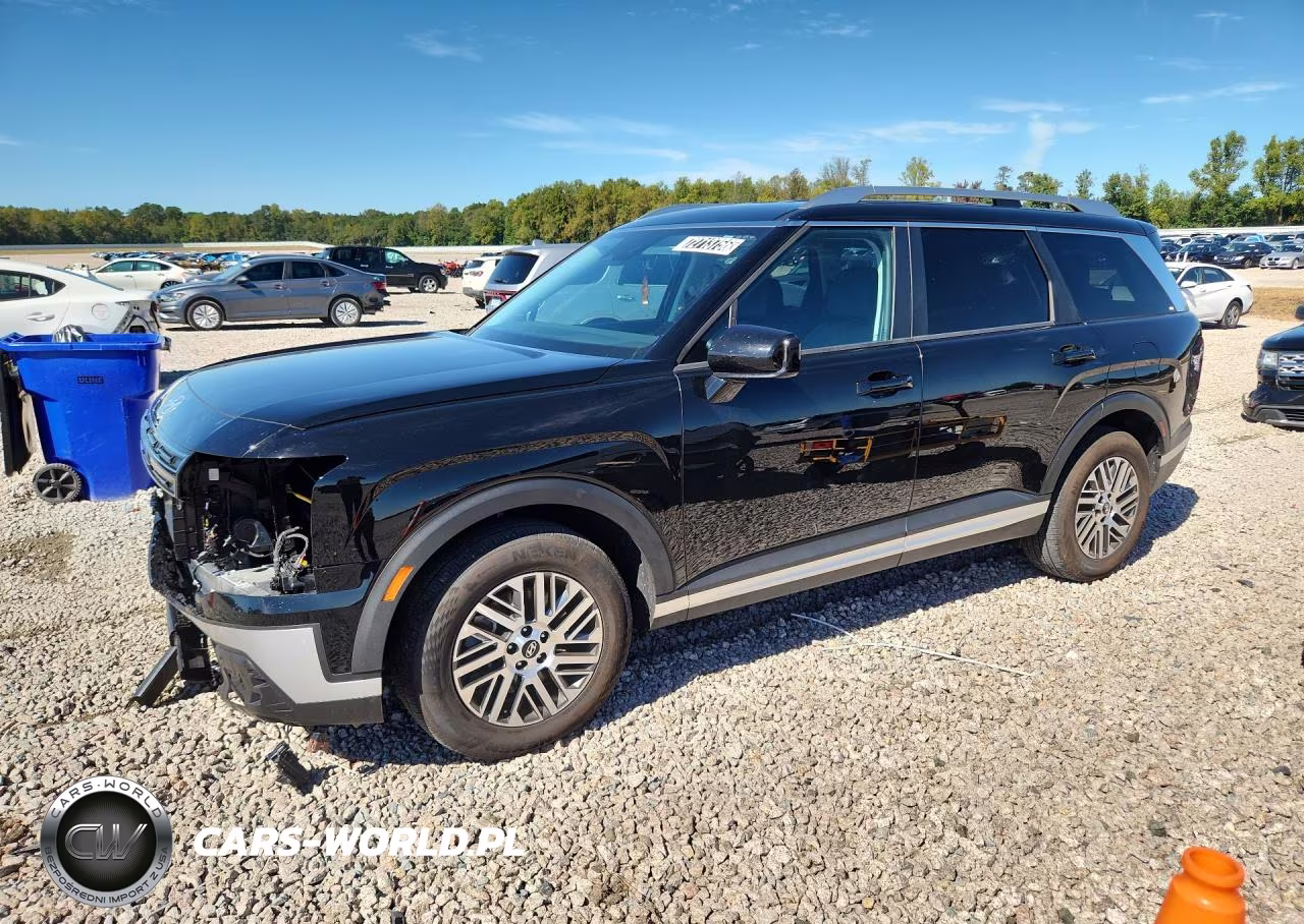 2026 Hyundai Palisade Sel VIN:KM8RL5S28TU098715 - 1