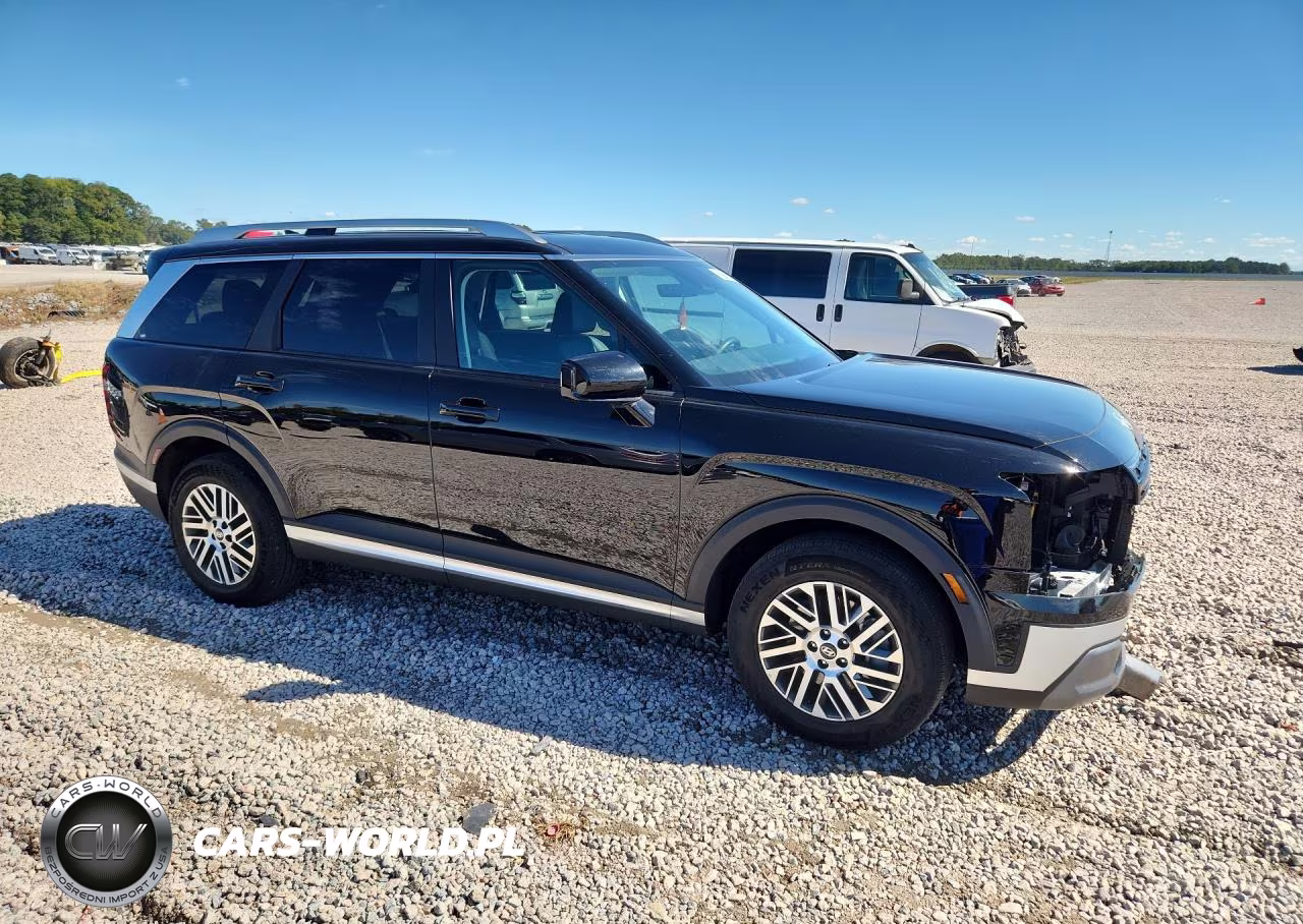 2026 Hyundai Palisade Sel VIN:KM8RL5S28TU098715 - 4