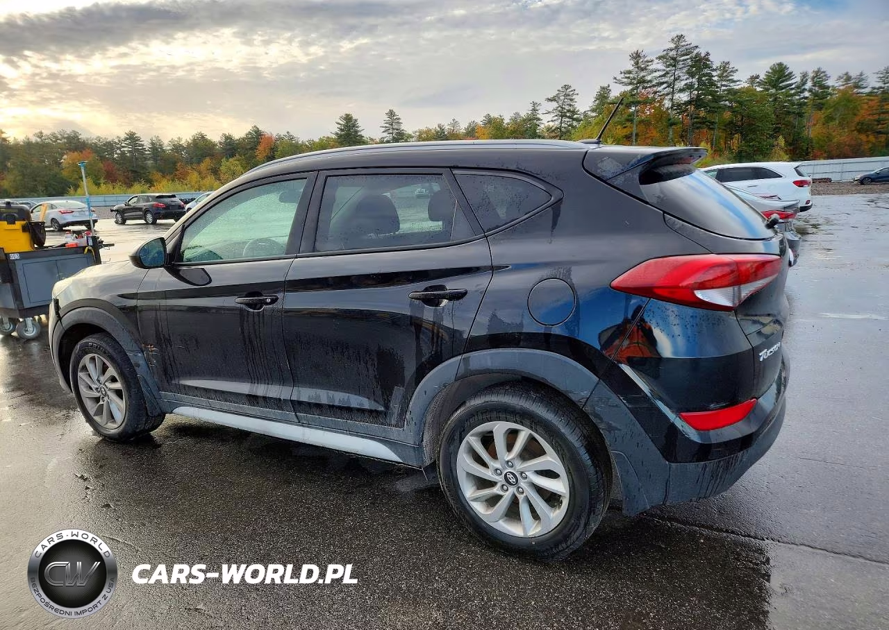 2017 Hyundai Tuscon VIN:KM8J3CA45HU397400 - 2