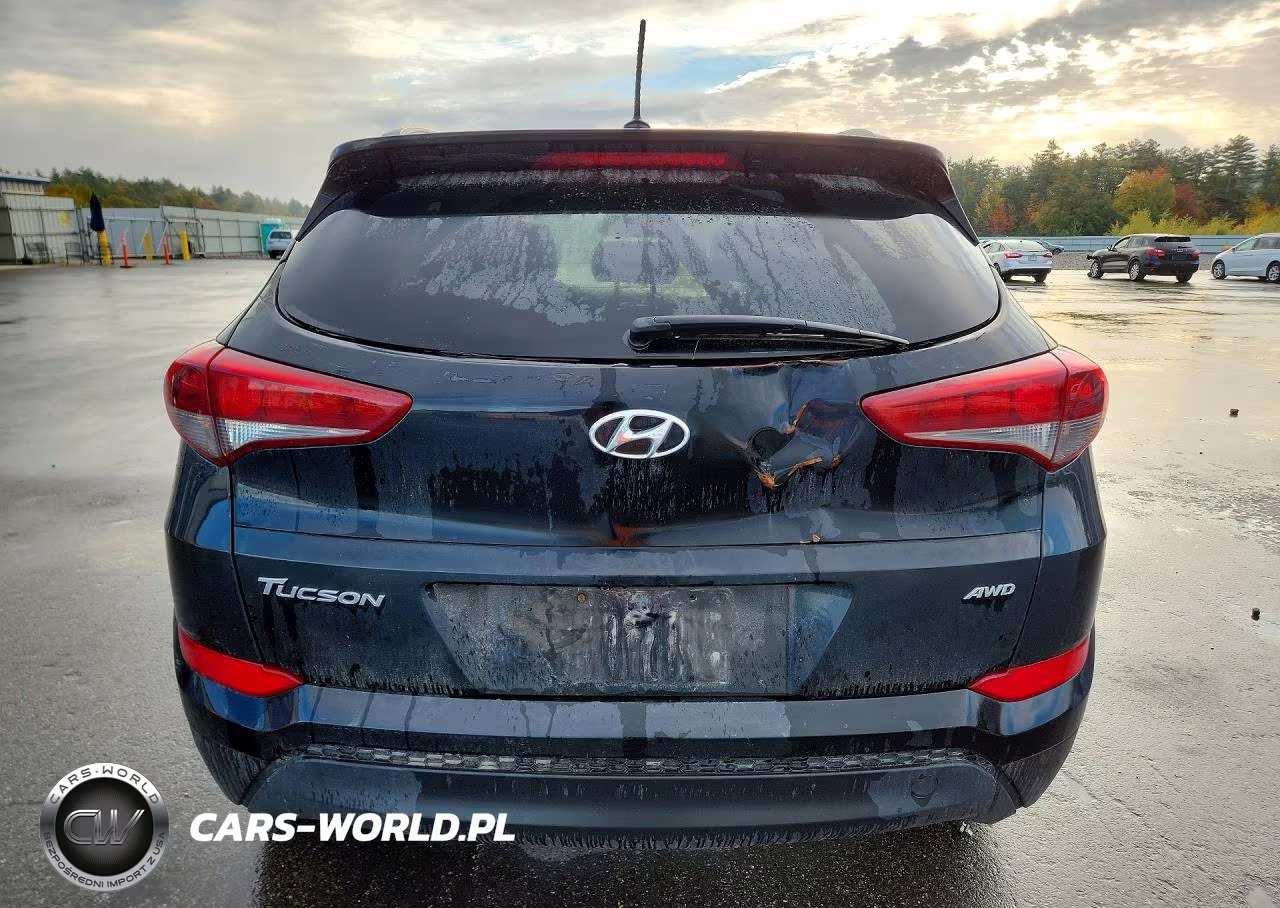 2017 Hyundai Tuscon VIN:KM8J3CA45HU397400 - 6