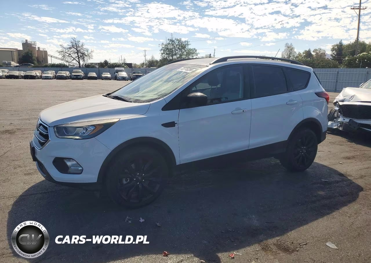 2019 Ford Escape Se