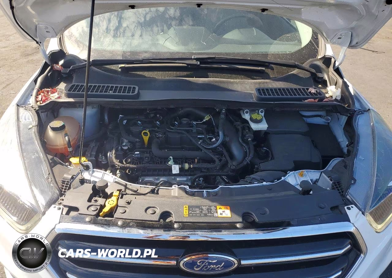 2019 Ford Escape Se VIN:1FMCU9GD5KUC05335 - 12