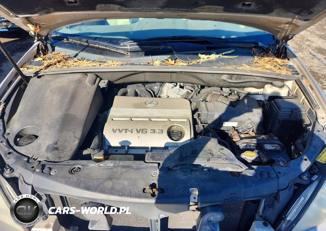 2006 Lexus Rx 330 VIN:2T2HA31U96C102958 - 12