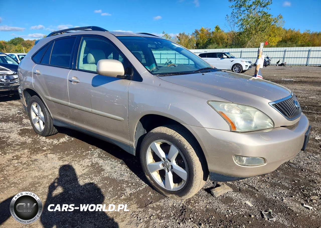 2006 Lexus Rx 330 VIN:2T2HA31U96C102958 - 4