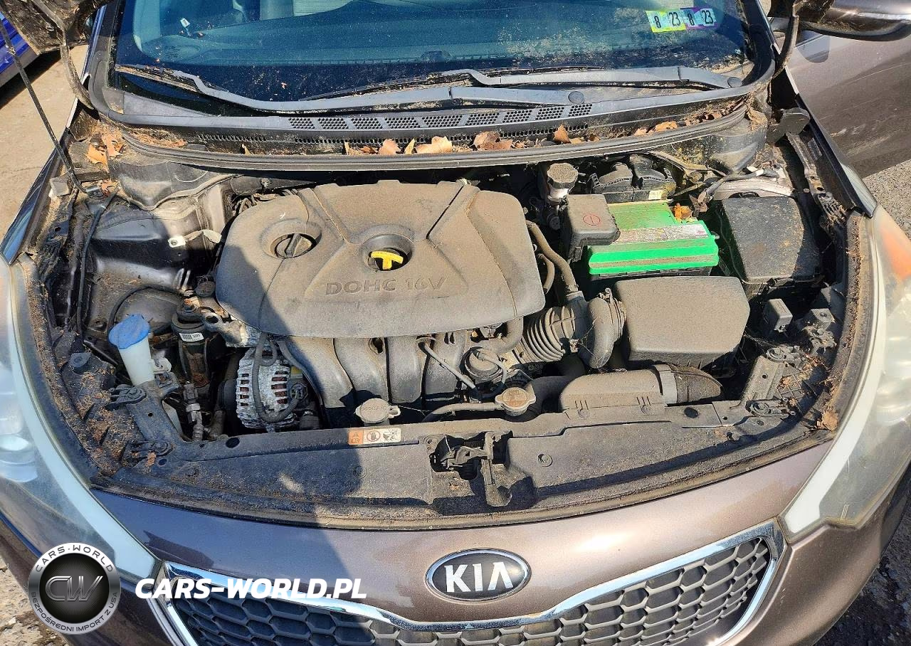 2014 Kia Forte Lx VIN:KNAFX4A61E5189734 - 11