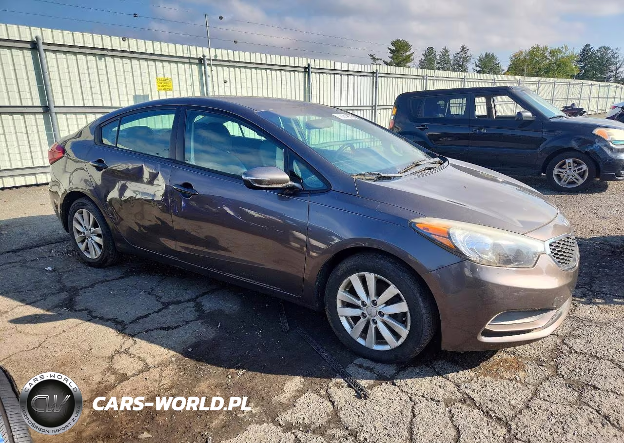 2014 Kia Forte Lx VIN:KNAFX4A61E5189734 - 4