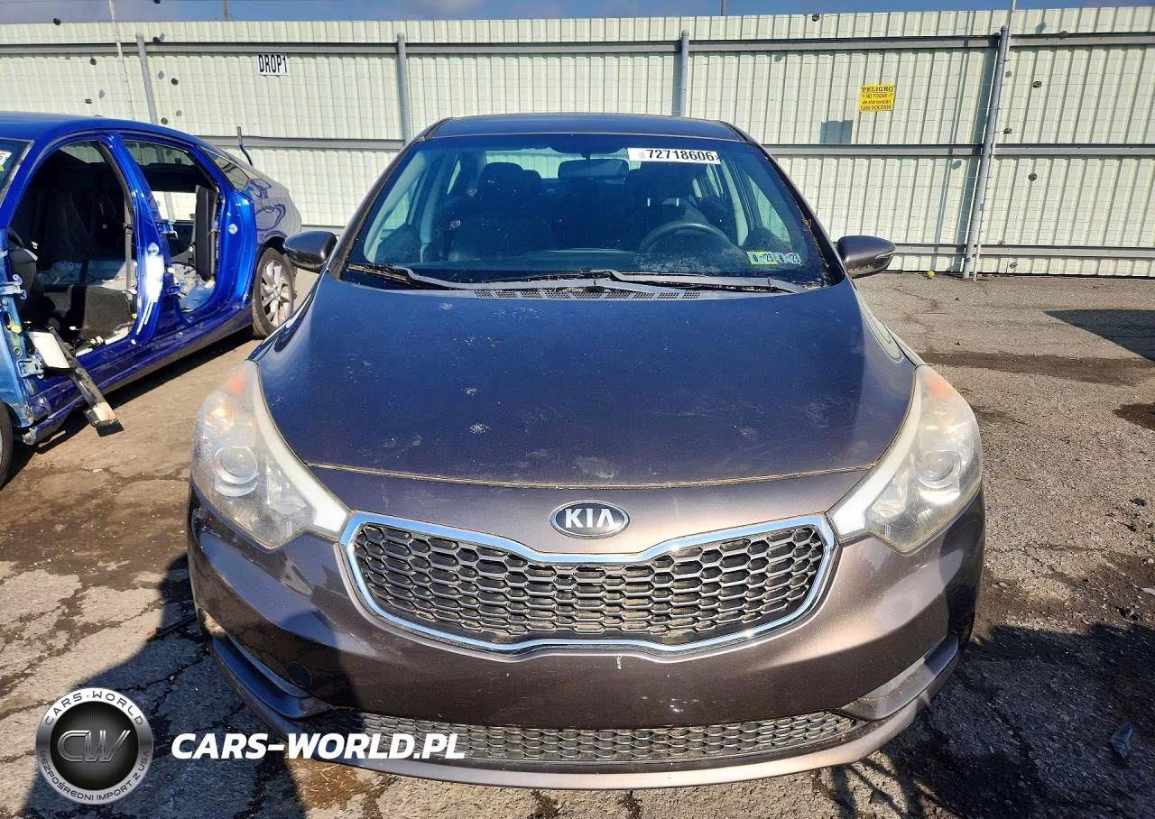 2014 Kia Forte Lx VIN:KNAFX4A61E5189734 - 5
