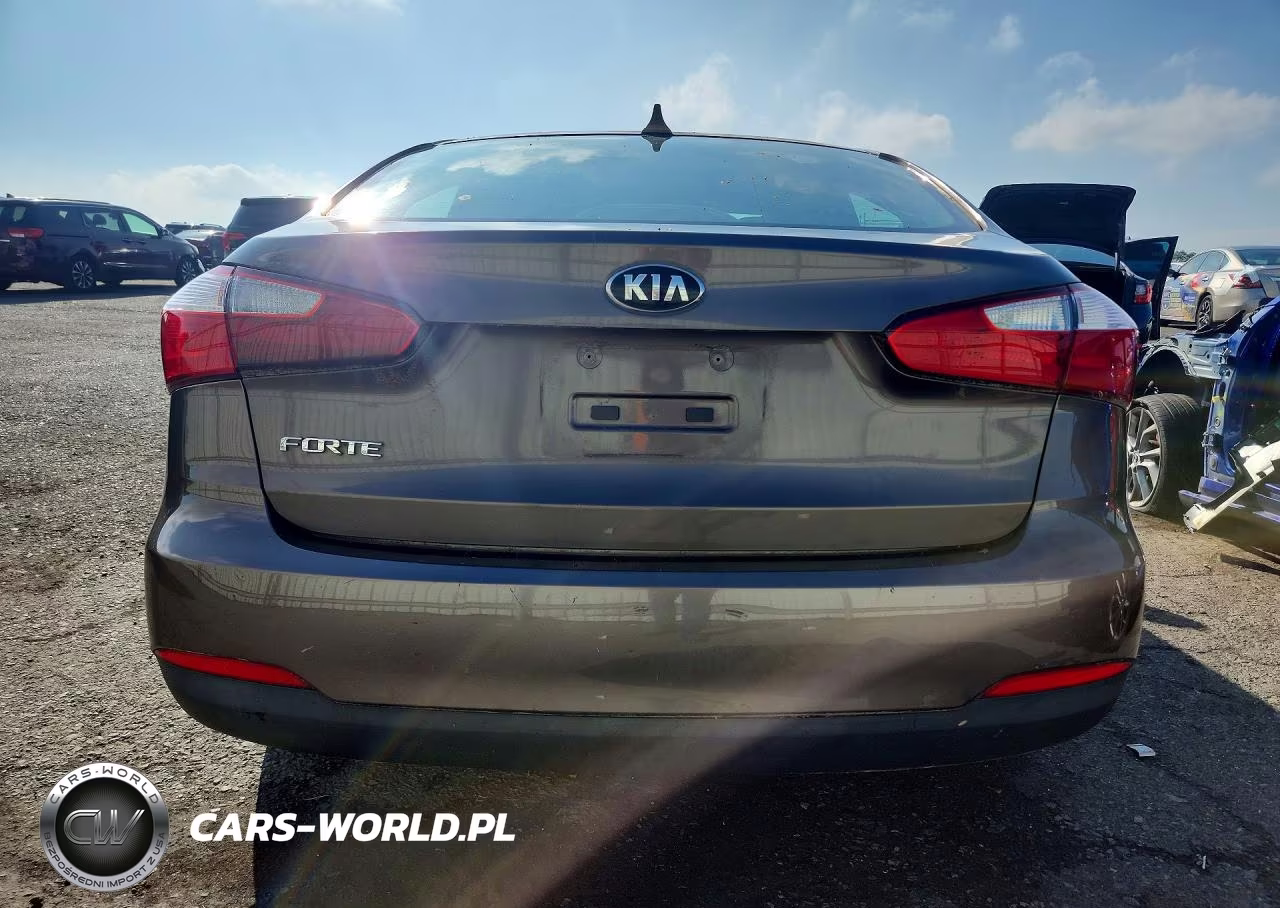 2014 Kia Forte Lx VIN:KNAFX4A61E5189734 - 6