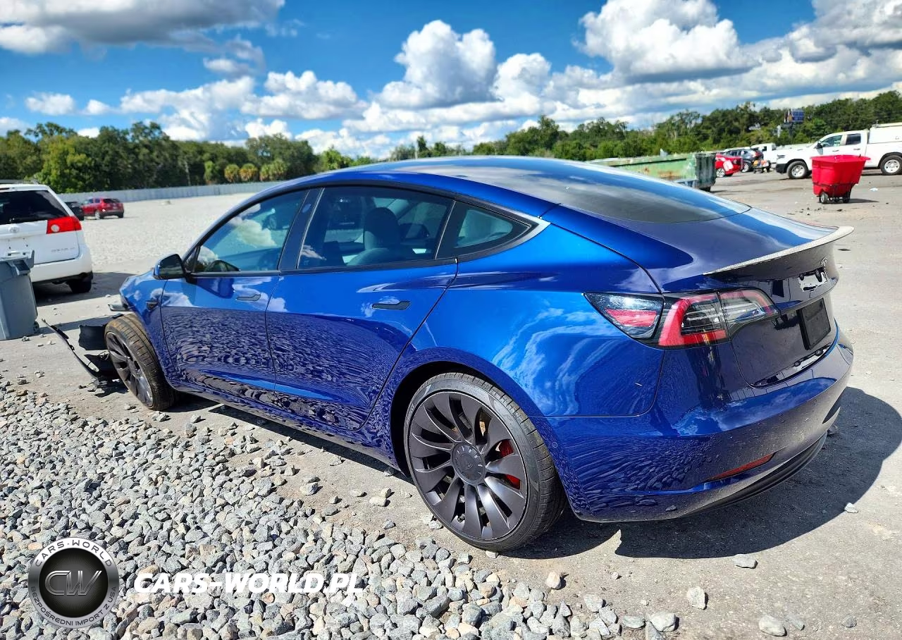2021 Tesla Model 3 VIN:5YJ3E1EC8MF013416 - 2