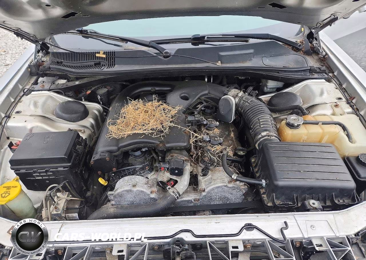 2009 Dodge Challenger Se VIN:2B3LJ44V69H538221 - 11
