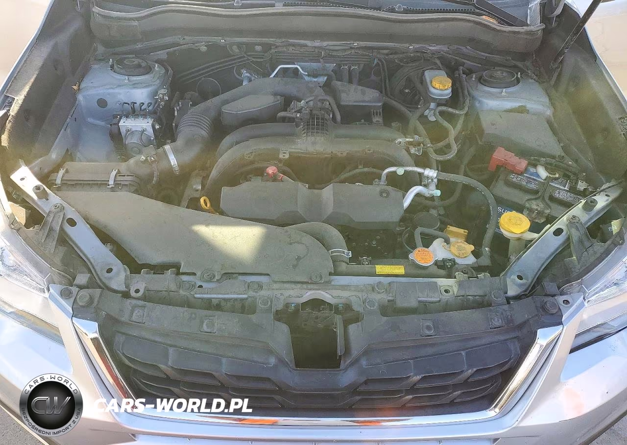 2017 Subaru Forester 2.5I Premium VIN:JF2SJAEC7HH535324 - 11