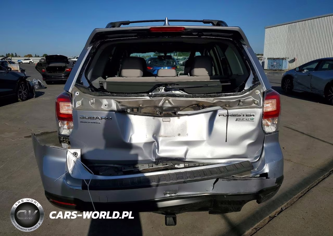 2017 Subaru Forester 2.5I Premium VIN:JF2SJAEC7HH535324 - 6