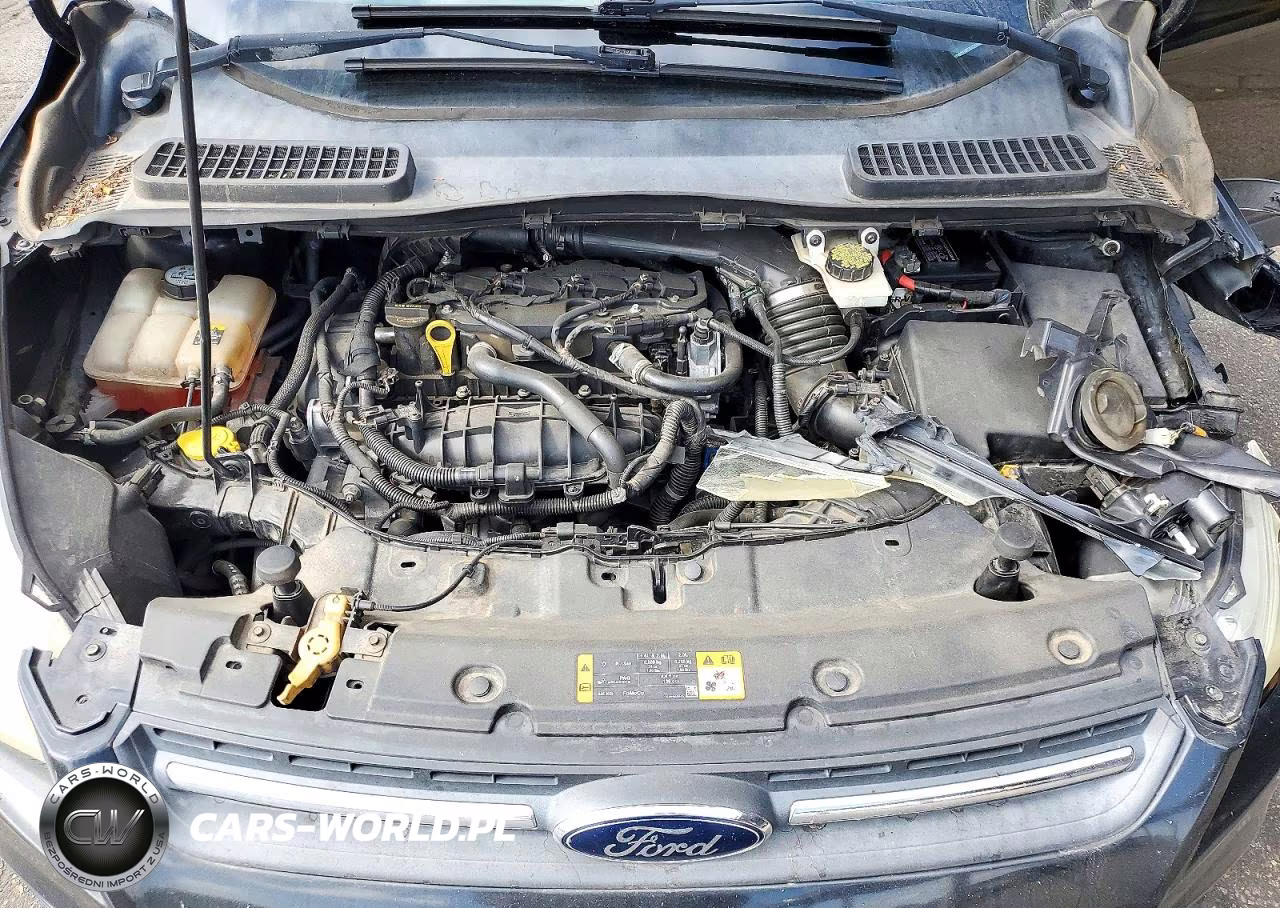 2013 Ford Escape Se VIN:1FMCU9GX4DUB60885 - 12